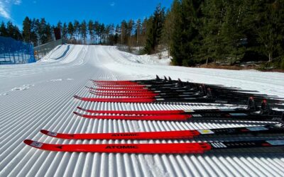 Resepti luistavalle hiihtolomalle